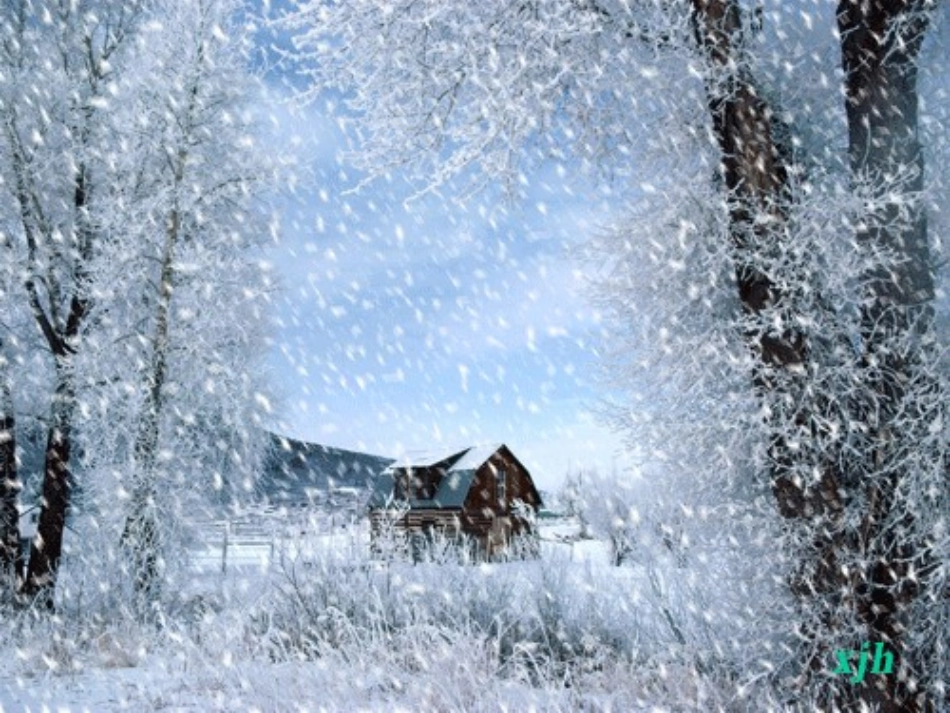 课件《雪地里的小画家》_第3页