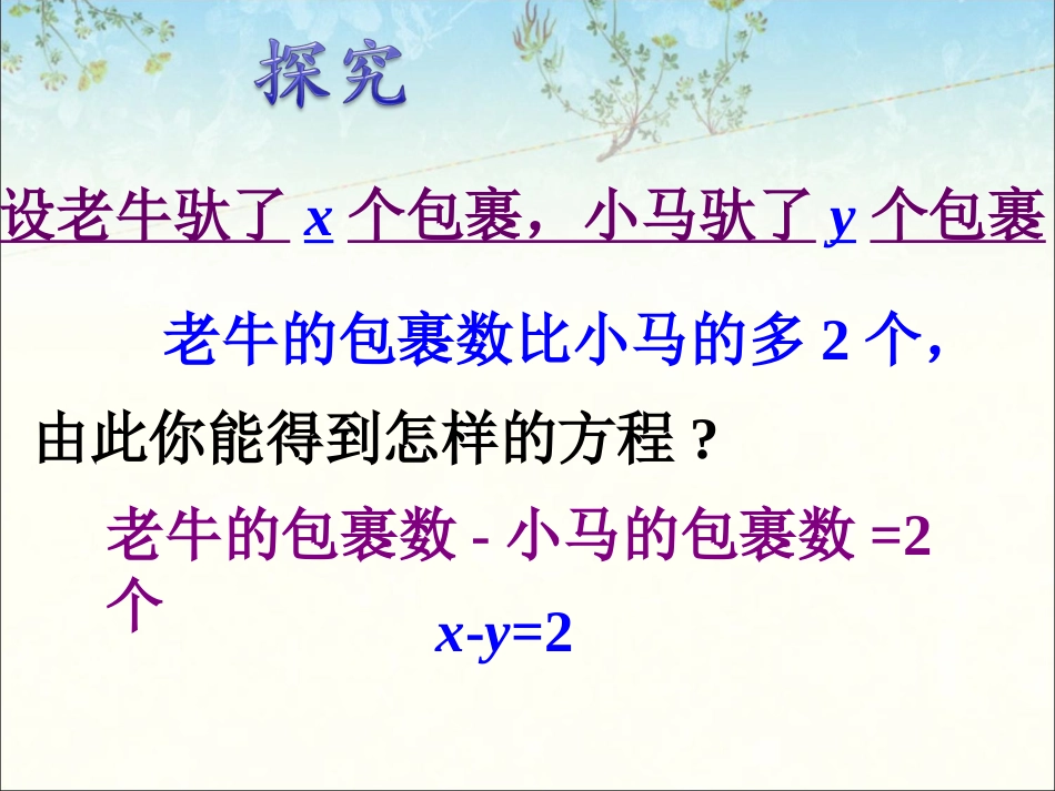 复习回顾-二元一次方程组_第2页