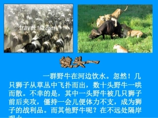承担关爱集体的责任1