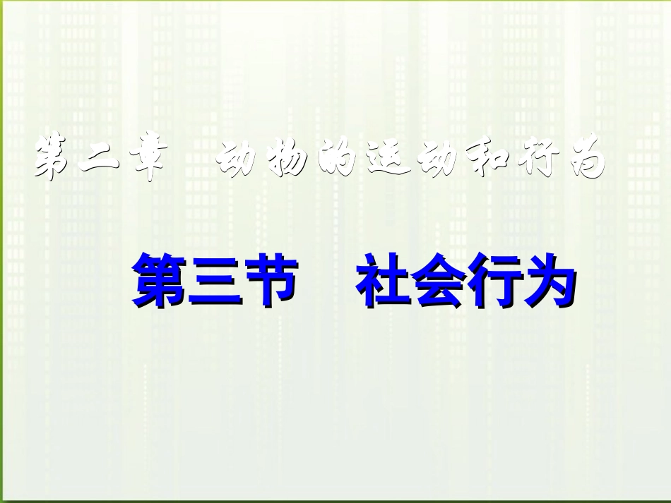 八年级生物上册-第五单元生物圈中的其他生物第二章动物的运动和行为第三节社会行为课件-人教新课标版_第1页