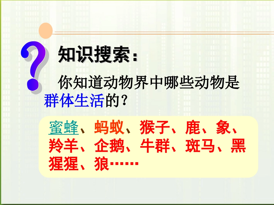 八年级生物上册-第五单元生物圈中的其他生物第二章动物的运动和行为第三节社会行为课件-人教新课标版_第2页
