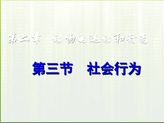 八年级生物上册-第五单元生物圈中的其他生物第二章动物的运动和行为第三节社会行为课件-人教新课标版