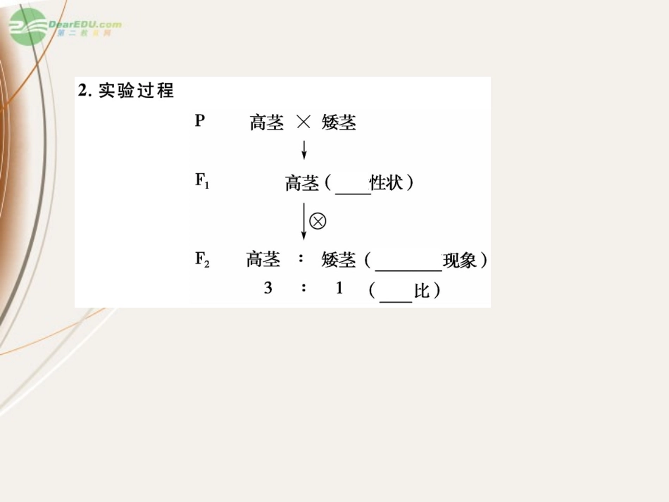 【课堂新坐标】2013届高考生物一轮复习-第1.2章-第1讲-孟德尔的豌豆杂交实验(一)课件-必修2(广东专版)_第3页
