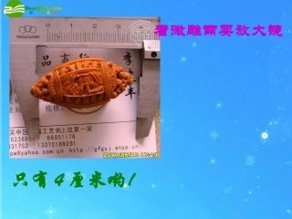 七年级语文上册-《核舟记》课件-鲁教版