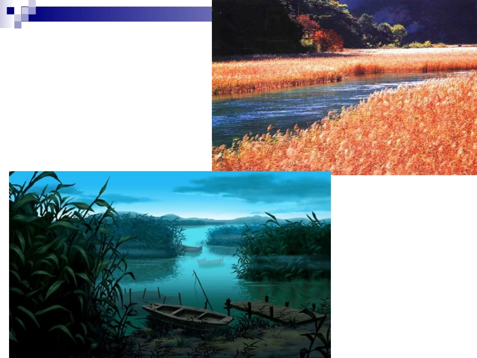 《芦花荡》课件杨景明_第3页