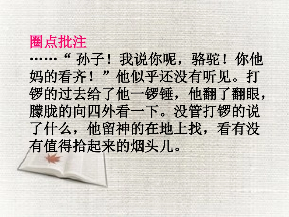 《骆驼祥子》：圈点与批注_第3页