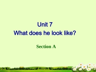 浙江省温岭市城南中学七年级英语下册《Unit-7-What-does-he-look-like》课件-人教新目标版
