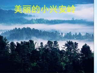 美丽的小兴安岭(2)