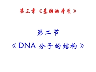 3.2《DNA分子的结构》课件3