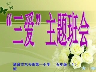 N2团队和合作能力