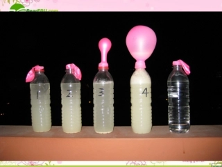 高中生物-2.2《酶在工业生产中的应用》课件(1)-浙科版选修2