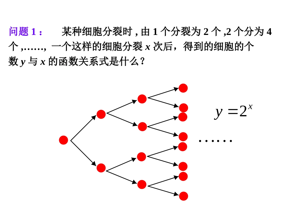 3.1指数函数的概念_第2页
