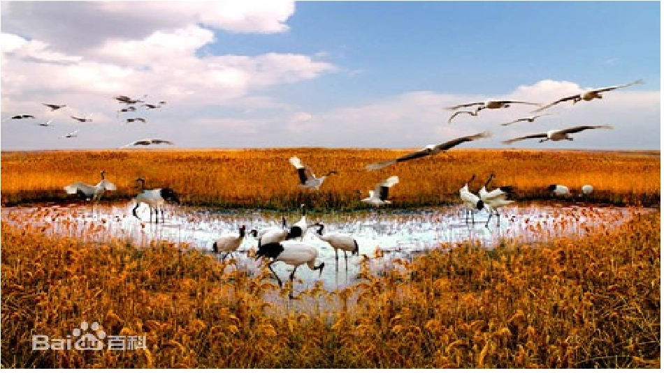 第一节认识区域-(4)_第2页