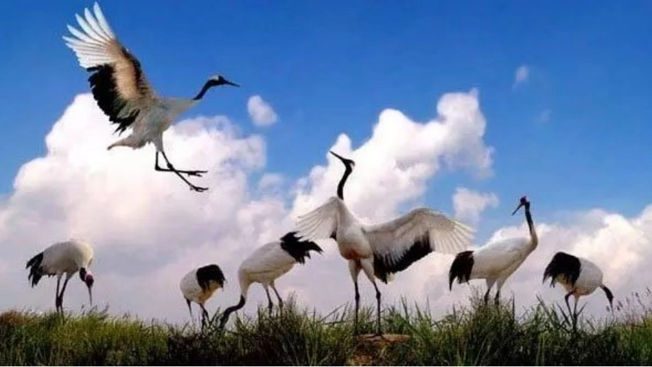 第一节认识区域-(4)_第3页