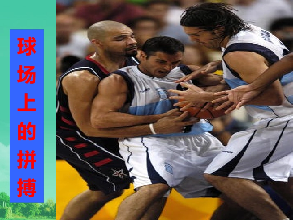 七年级政治下册-第九课《生命的林子》-课件1-人民版_第3页