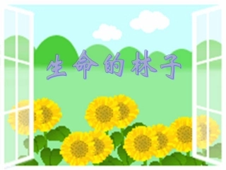 七年级政治下册-第九课《生命的林子》-课件1-人民版