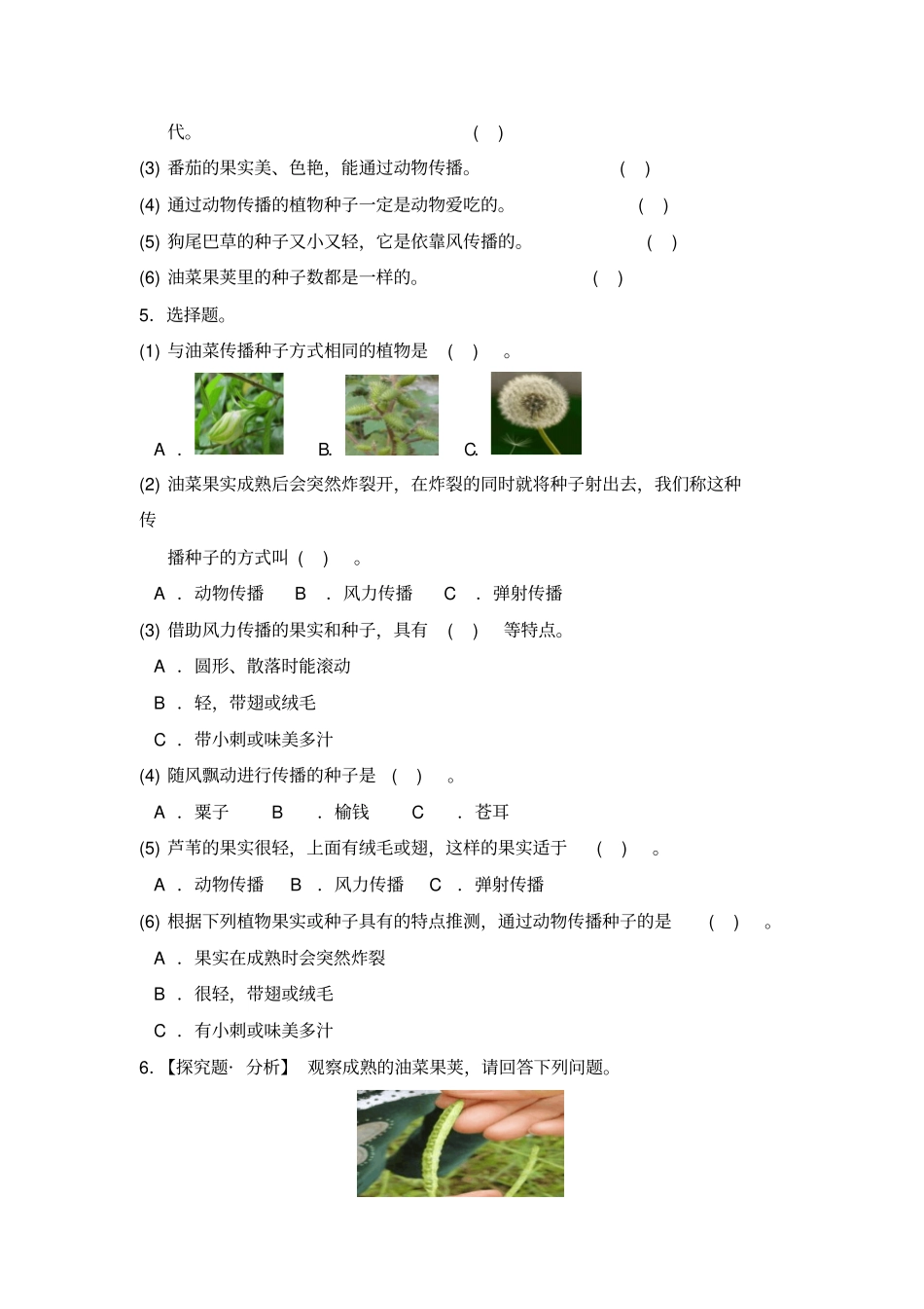 四年级下册科学同步练习-4把种子散播到远处∣教科版_第2页