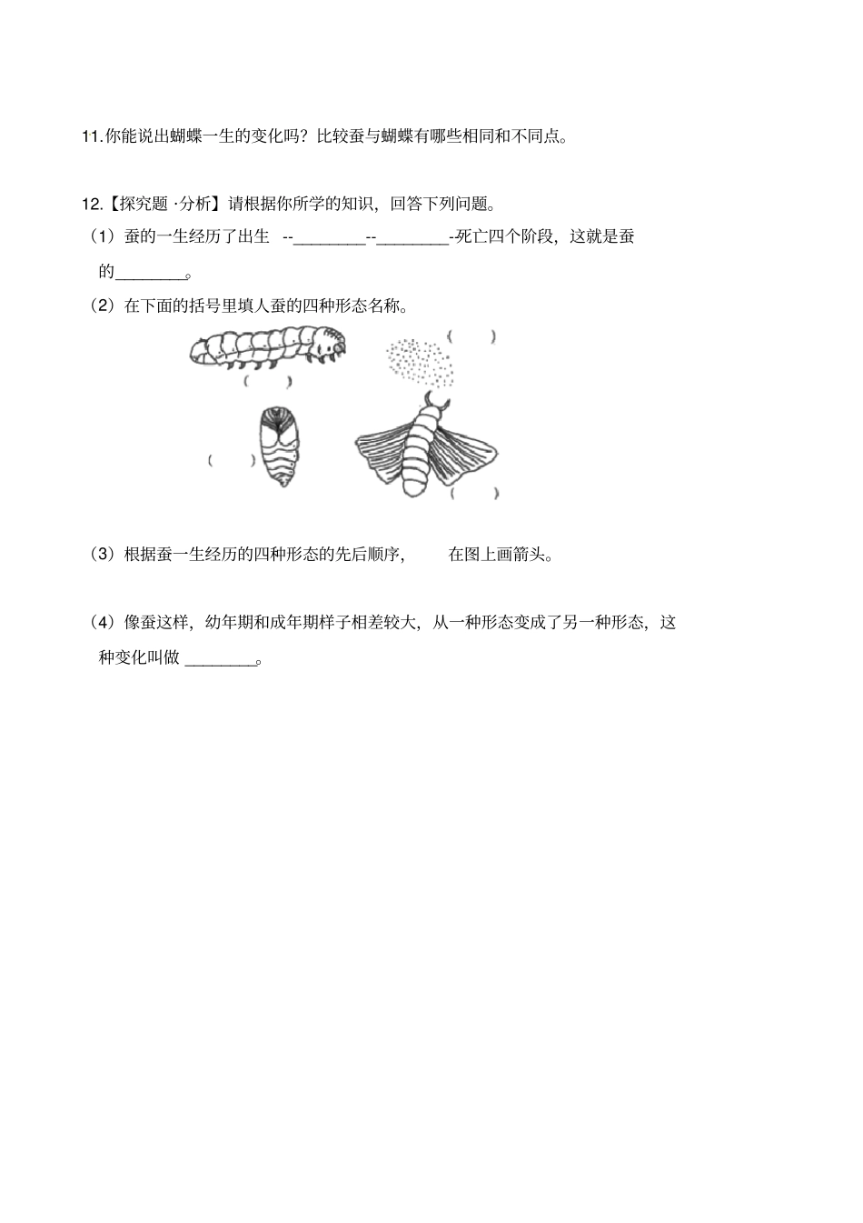四年级下册科学试题-4养蚕经验交流会苏教版含解析_第2页