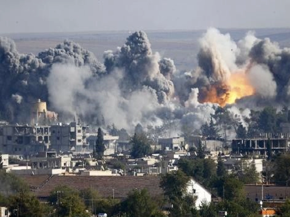 牲畜林-(2)_第2页