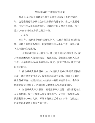 2023年残联工作总结及计划