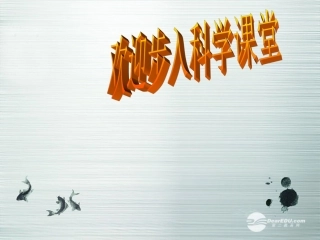 七年级科学上册《物质的酸碱性》课件5-浙教版