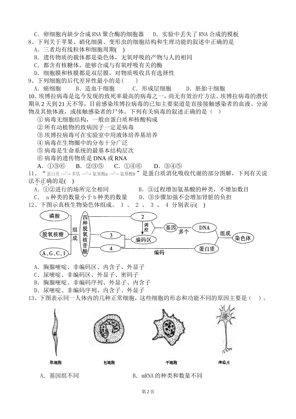 科学前沿组装细胞-(2)_第2页