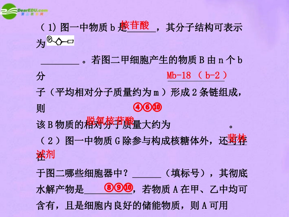 2011届高考生物-考点专题复习课件45_第2页