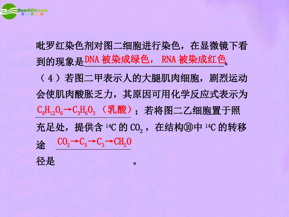 2011届高考生物-考点专题复习课件45_第3页