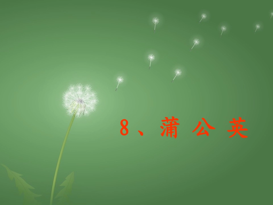 蒲公英(2)_第1页