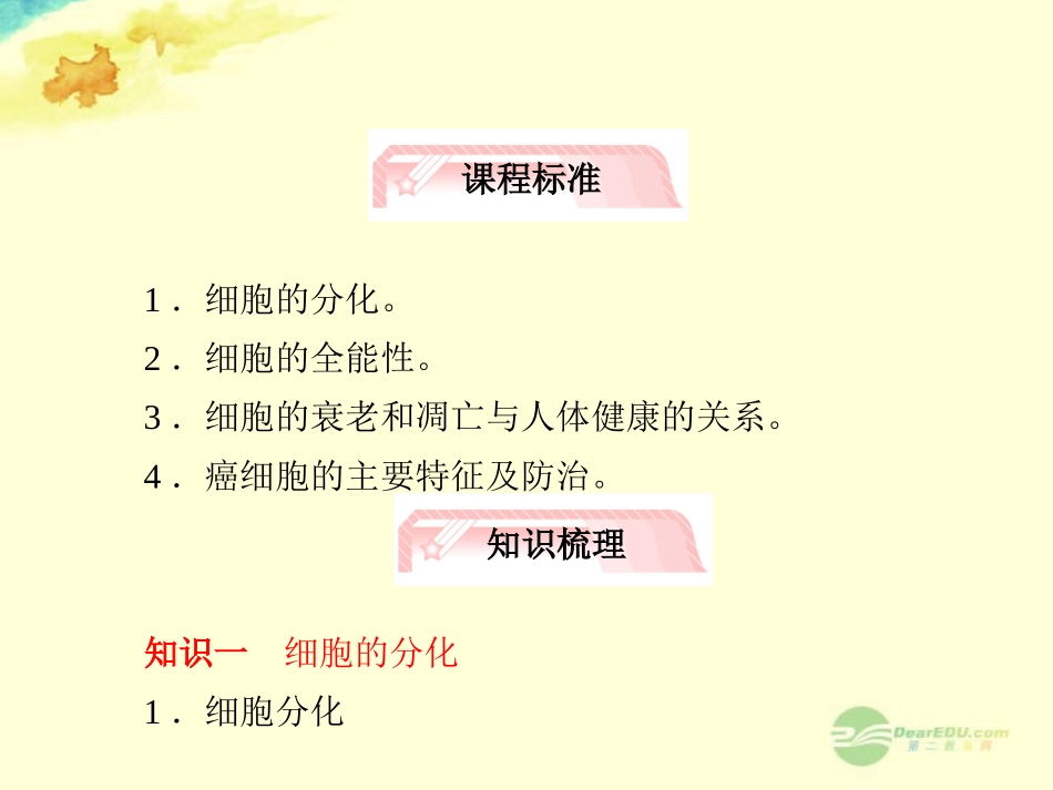 【立体设计】2013届高考生物一轮复习-第6章-细胞的生命历程第2讲课件-新人教版必修1_第2页