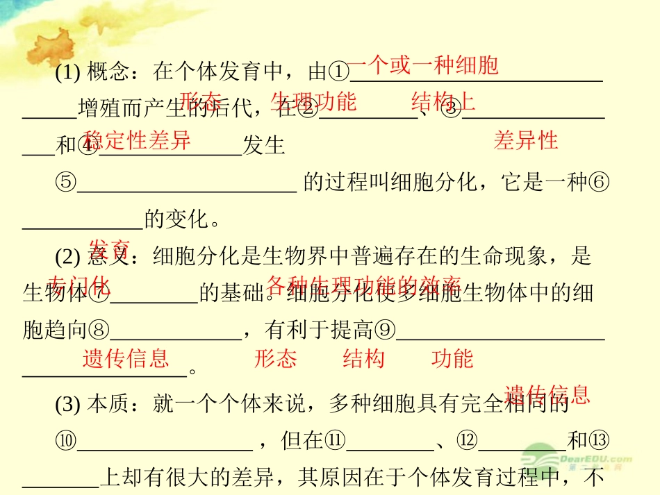 【立体设计】2013届高考生物一轮复习-第6章-细胞的生命历程第2讲课件-新人教版必修1_第3页
