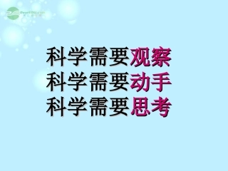 2012年秋九年级科学上册-电热器课件-浙教版