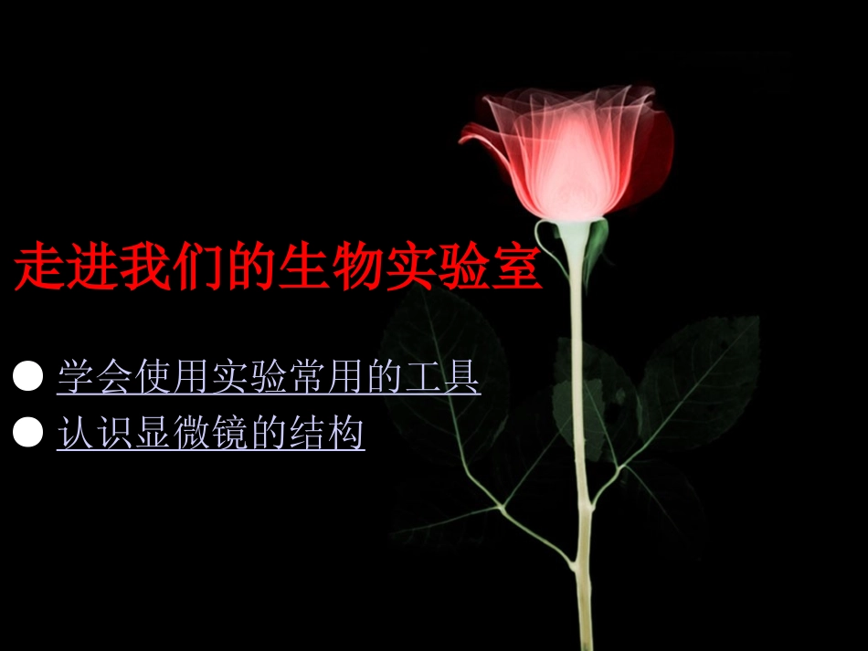 1、2、1科学探究的基本方法_第2页