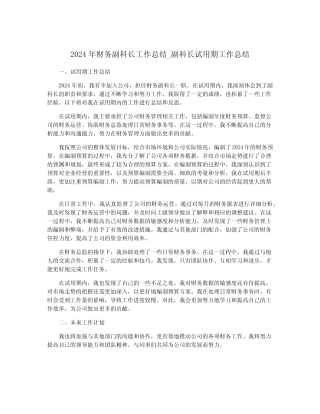 2024年财务副科长工作总结_副科长试用期工作总结 