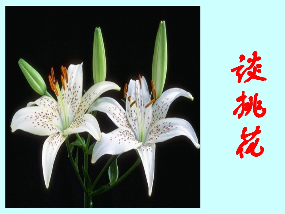 《谈挑花》课件_第1页