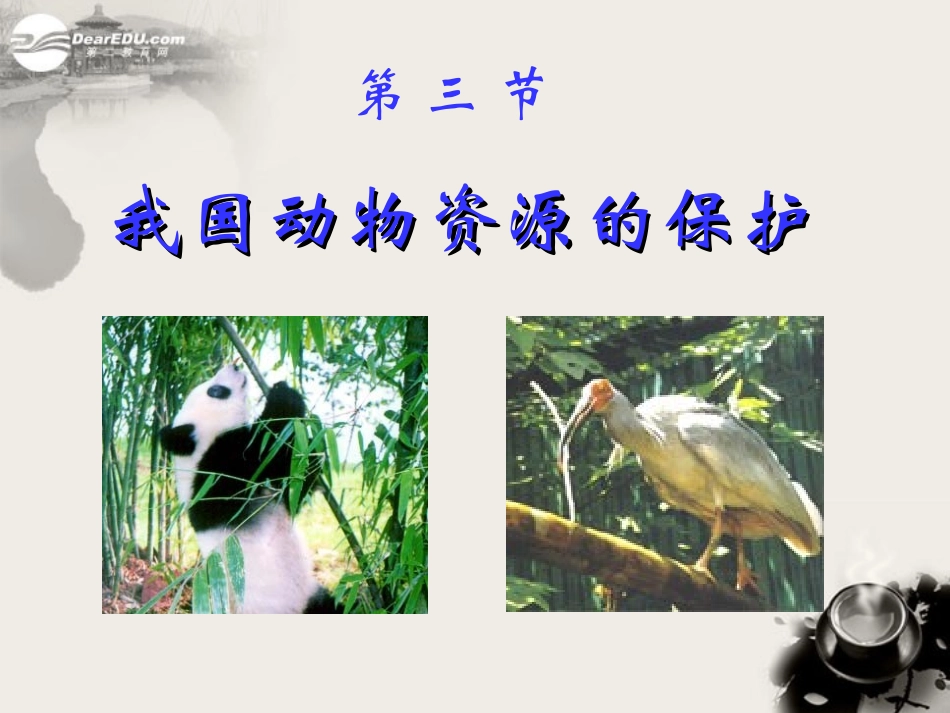 八年级生物上册《我国动物资源的保护》课件2-北师大版_第1页