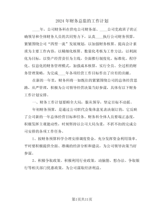 2024年财务总监的工作计划(四篇) 