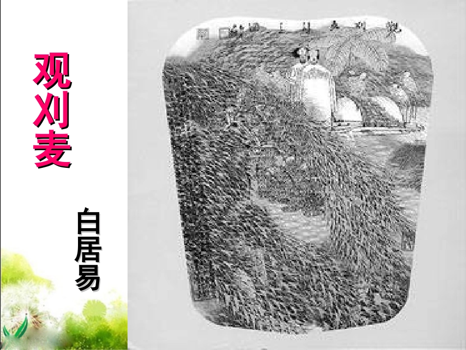 《观刈麦》参考课件_第2页