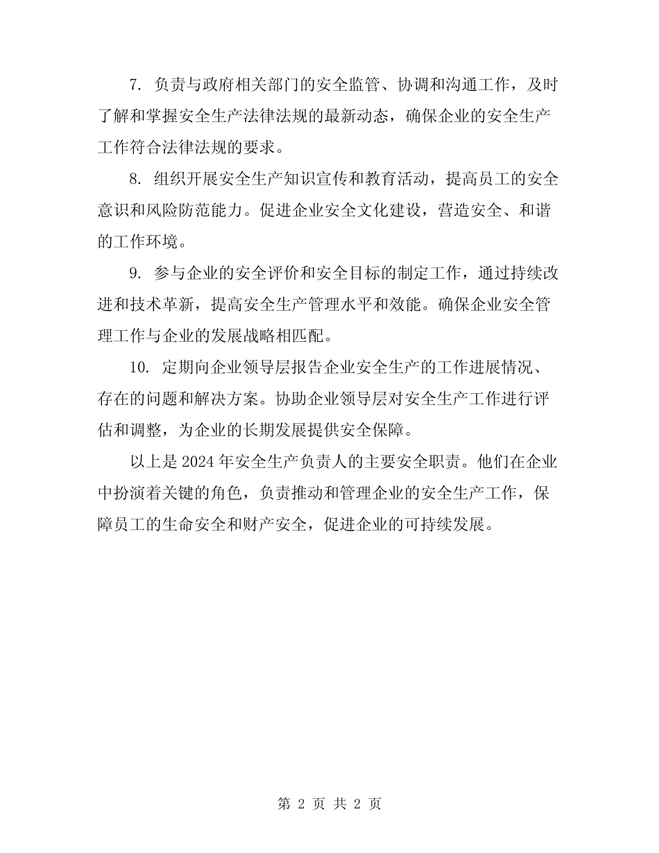 2024年安全生产负责人安全职责_第2页
