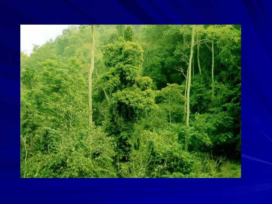 -单元活动分析判断气候类型_第3页