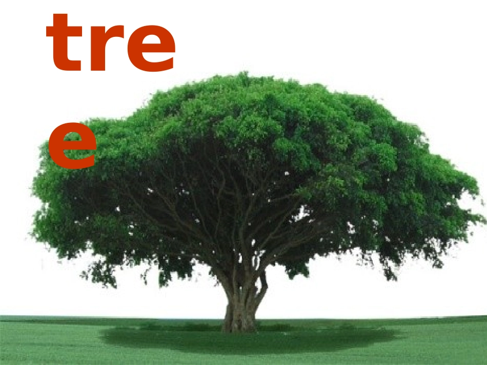 新路径四年级上册LessonG-What-a-Wonderful-View_第2页