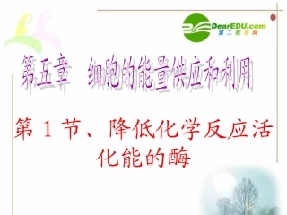 高中生物：-第5章-细胞的能量供应和利用(课件)人教版必修1
