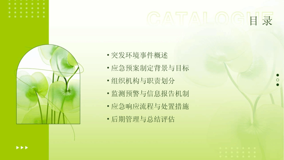 2024版年度突发环境事件应急预案真题 _第2页