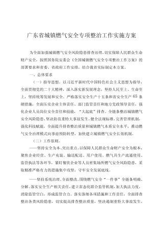 《广东省城镇燃气安全专项整治工作实施方案》 
