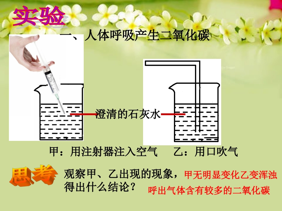 第四节人体内的气体交换_第3页
