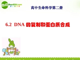 高中生物-6.2《DNA复制和蛋白质合成》课件(1)-沪科版第二册