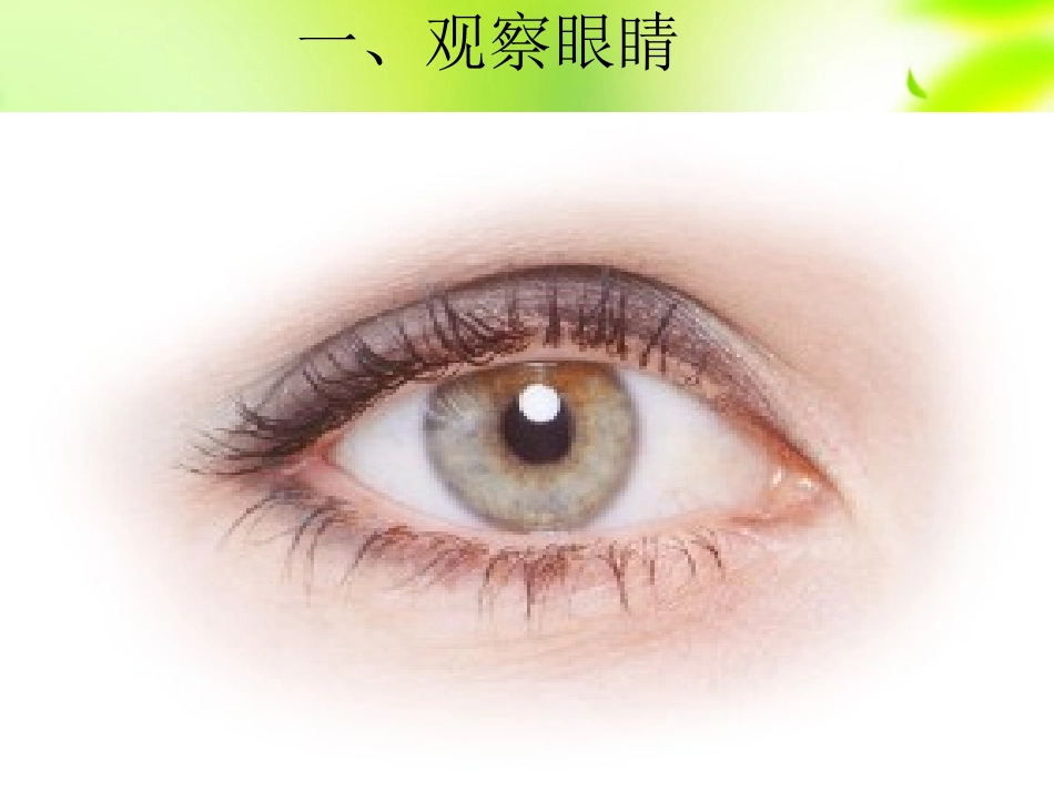 浙江省泰顺县新城学校八年级物理上册-凸透镜课件-新人教版_第2页