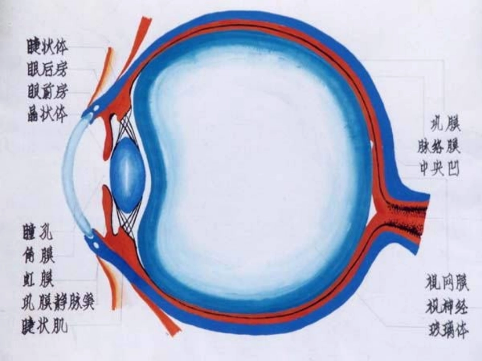 浙江省泰顺县新城学校八年级物理上册-凸透镜课件-新人教版_第3页
