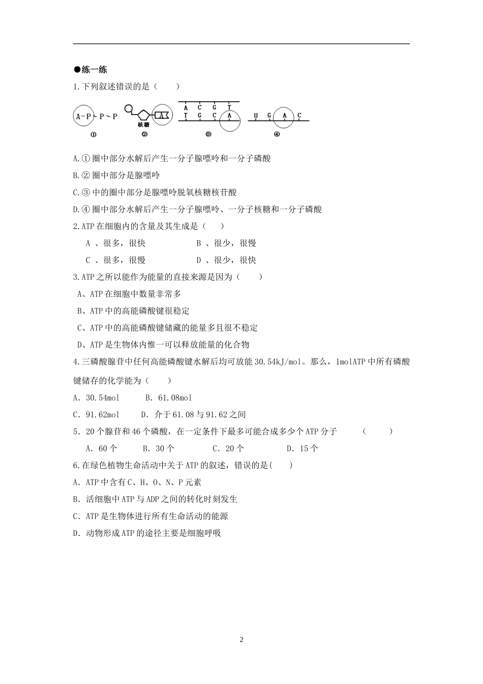 生命活动的直接能源——ATP-(2)_第2页