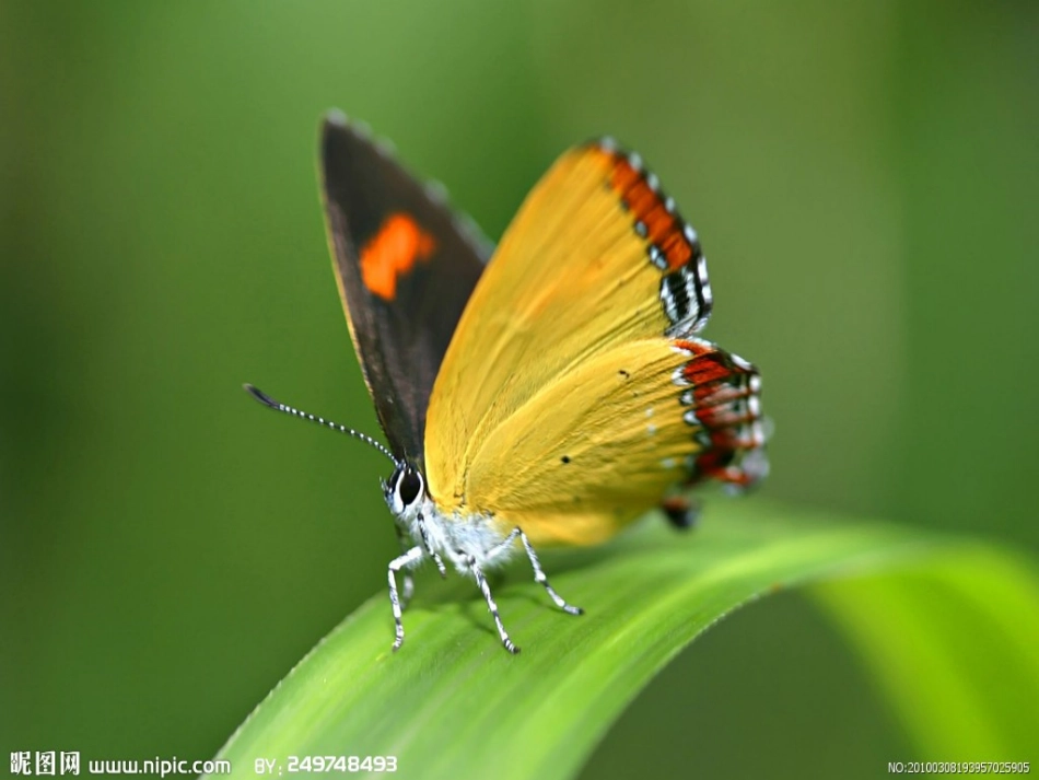 24同形旁认一认_第2页